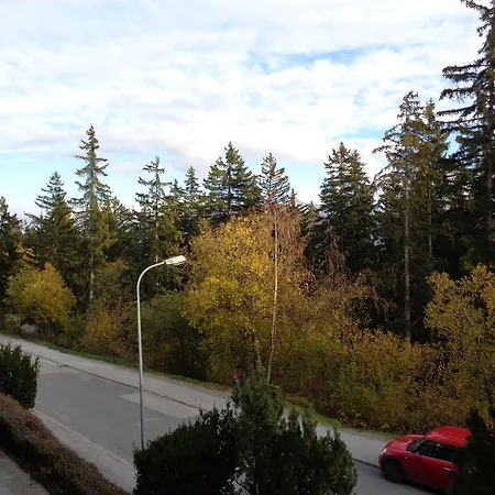 Crans-forest B1 * Crans-Montana